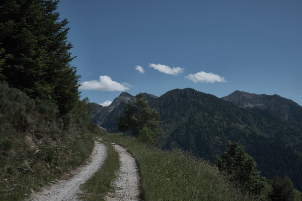Folgen Sie dem Rennen: Weitere Ausdauer