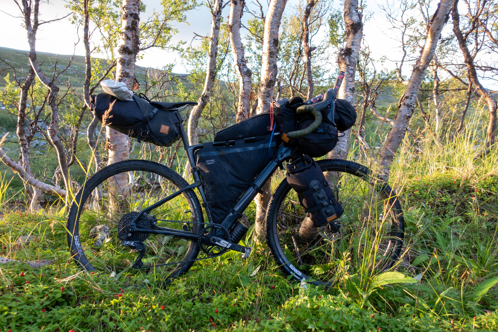 Olli's Cannondale